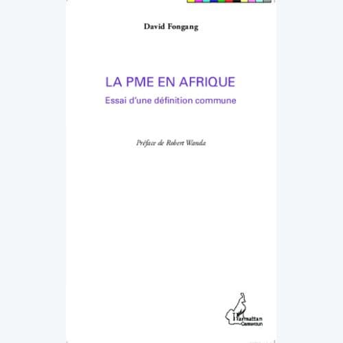 LA PME EN AFRIQUE : Essai d'une définition commune